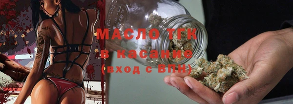 дмт Каменка