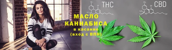 дмт Каменка