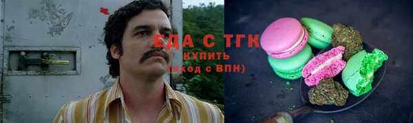 дмт Каменка
