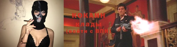 гашик Каменск-Шахтинский