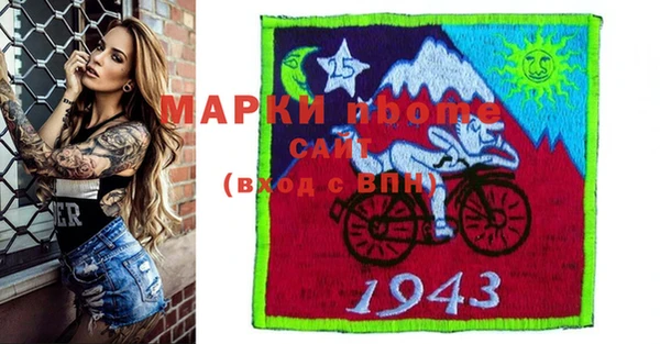 дмт Каменка