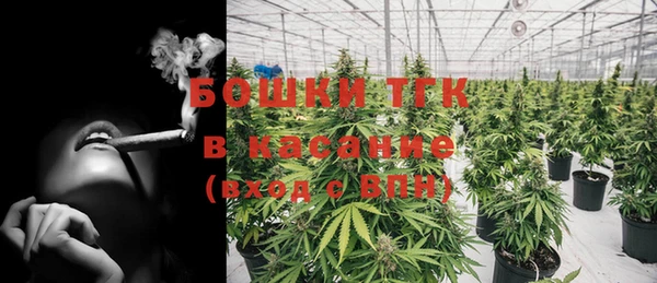 винт Инсар