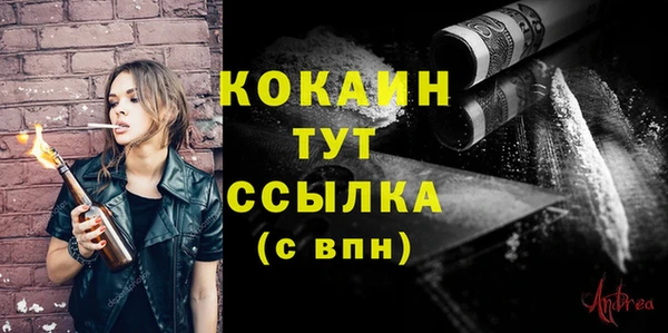 дмт Каменка