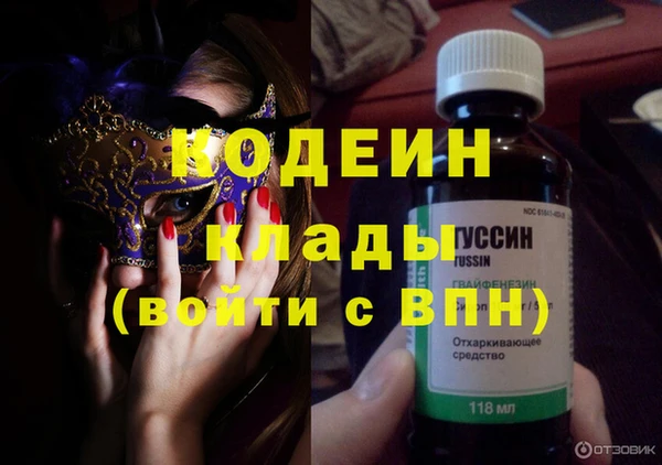 дмт Каменка