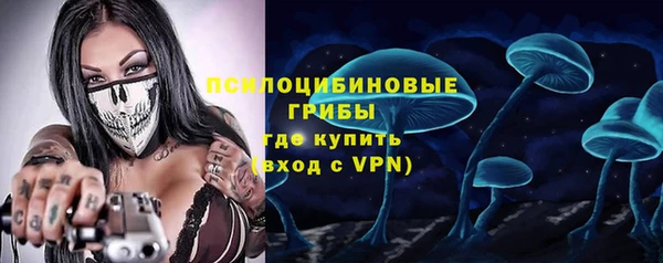 гашик Каменск-Шахтинский