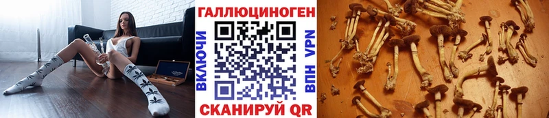 Псилоцибиновые грибы мицелий  Купить где  Горячий Ключ 