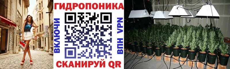 Каннабис планчик Горячий Ключ
